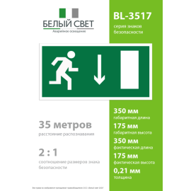 Пластина BL-3517.E09 "Указатель двери эвакуационного выхода (прав.)" Белый свет a12894