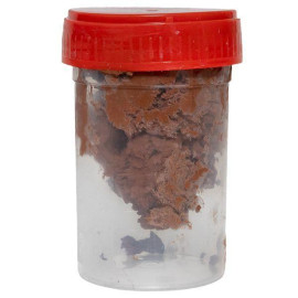 Комплект заземления вертикальный d16 дл.3м (2х1.5м) HZ PROxima EKF gc-21300